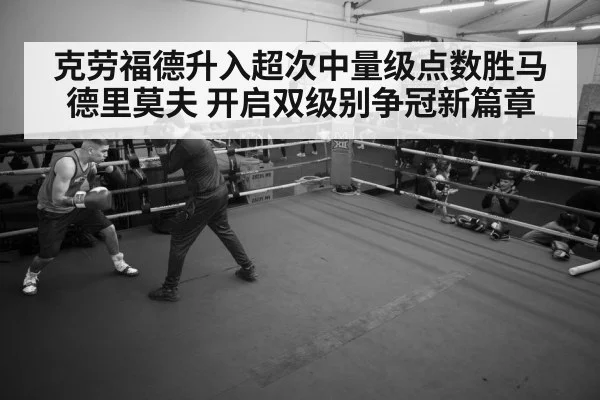 boxer training gym