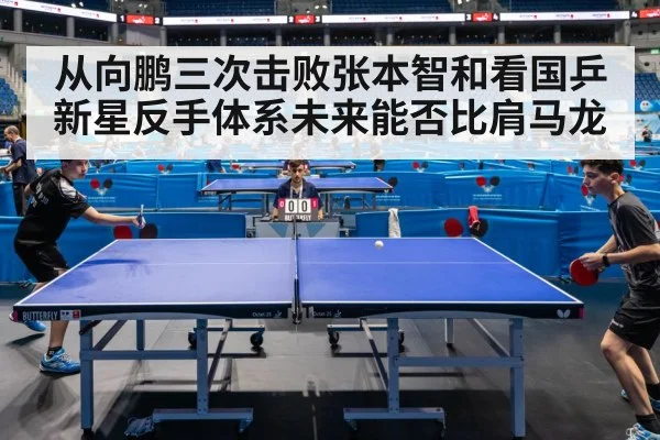从向鹏三次击败张本智和看国乒新星反手体系未来能否比肩马龙